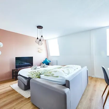 Bm-3 Appartement Au 3Eme Etage - F2 - 1 A 4 Pers Mulhouse Exterior photo